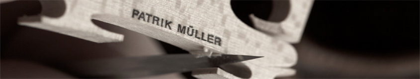 Patrik Mueller logo